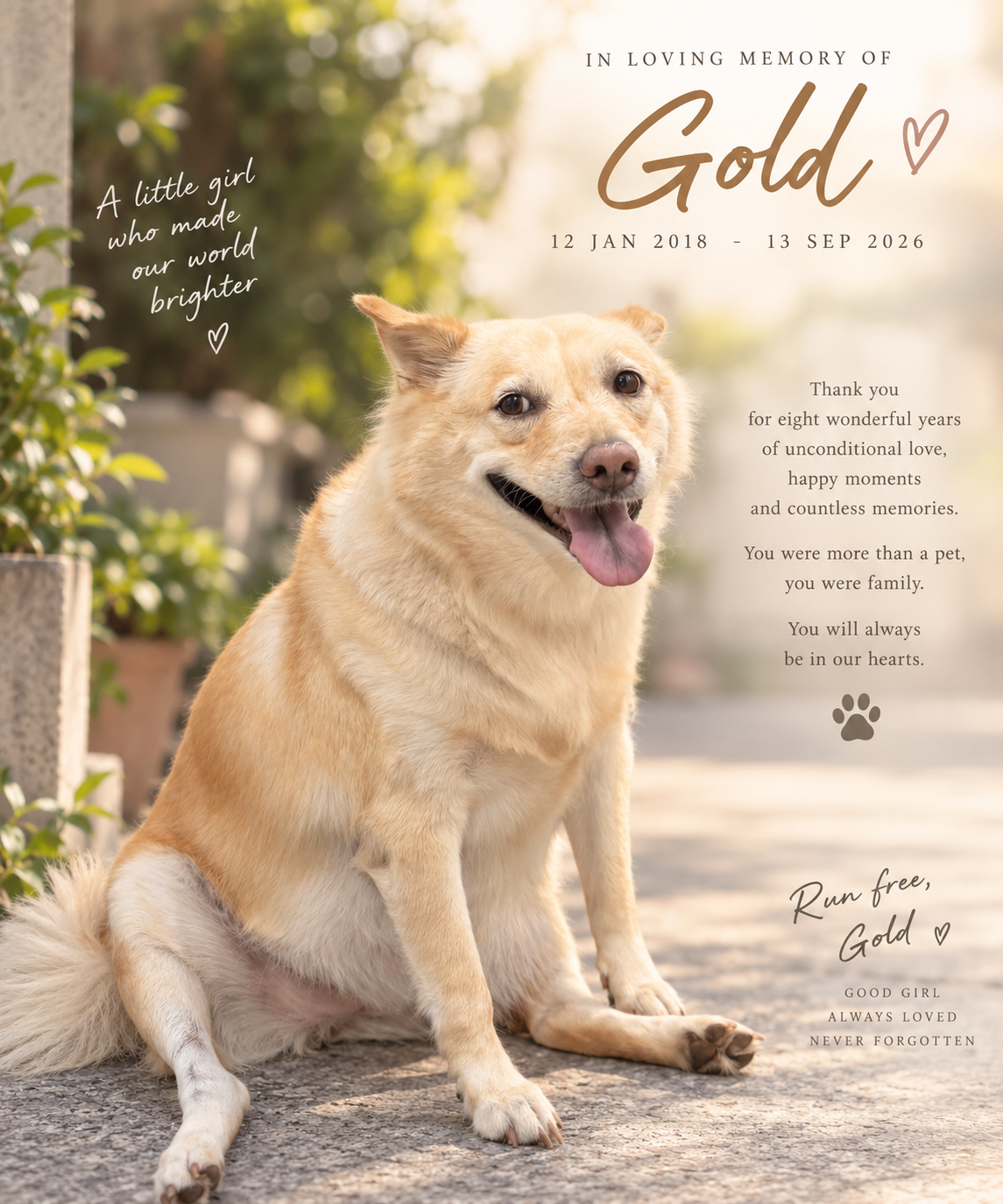 We love you, Gold