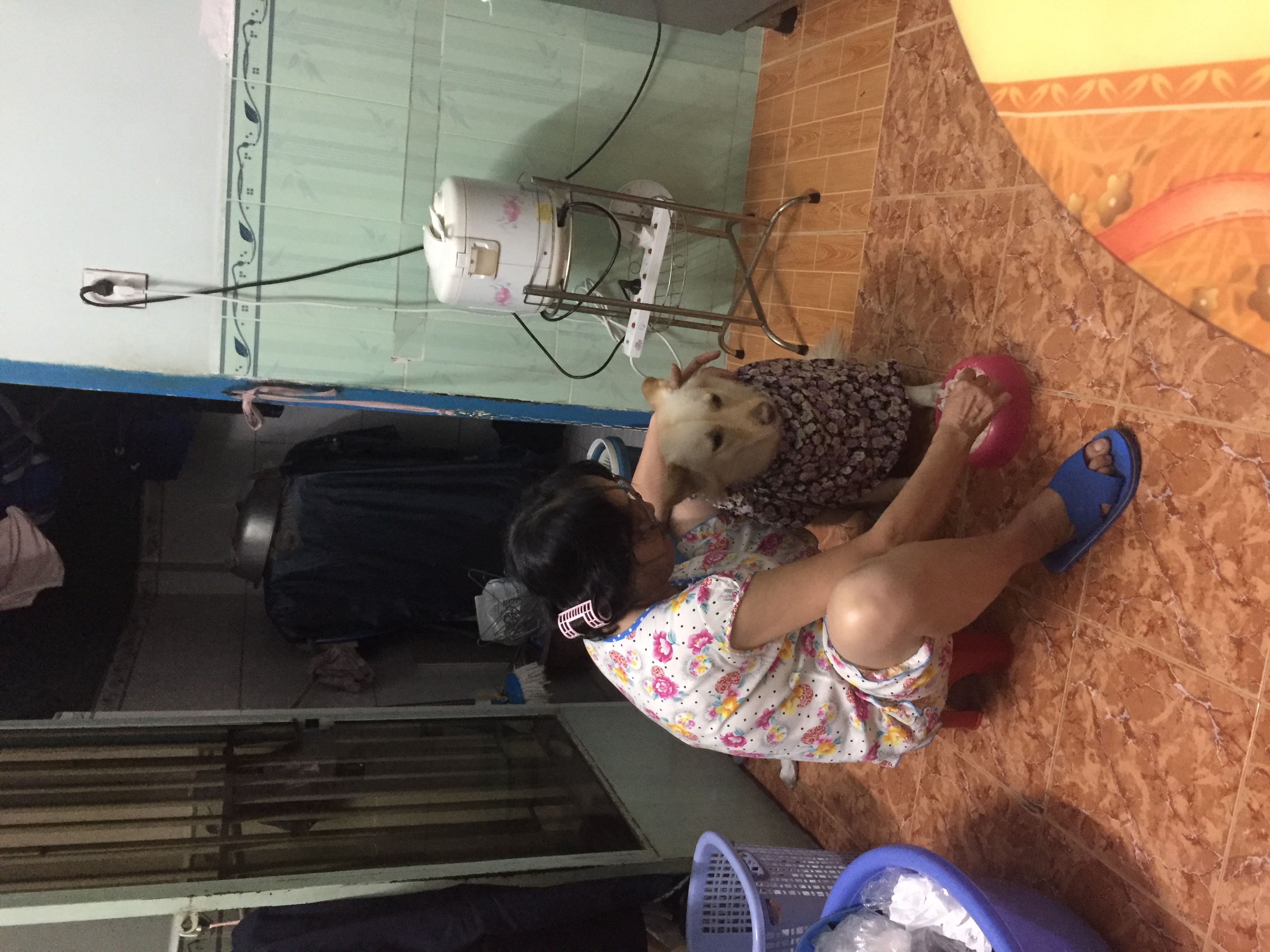 Mẹ đút Gôn ăn