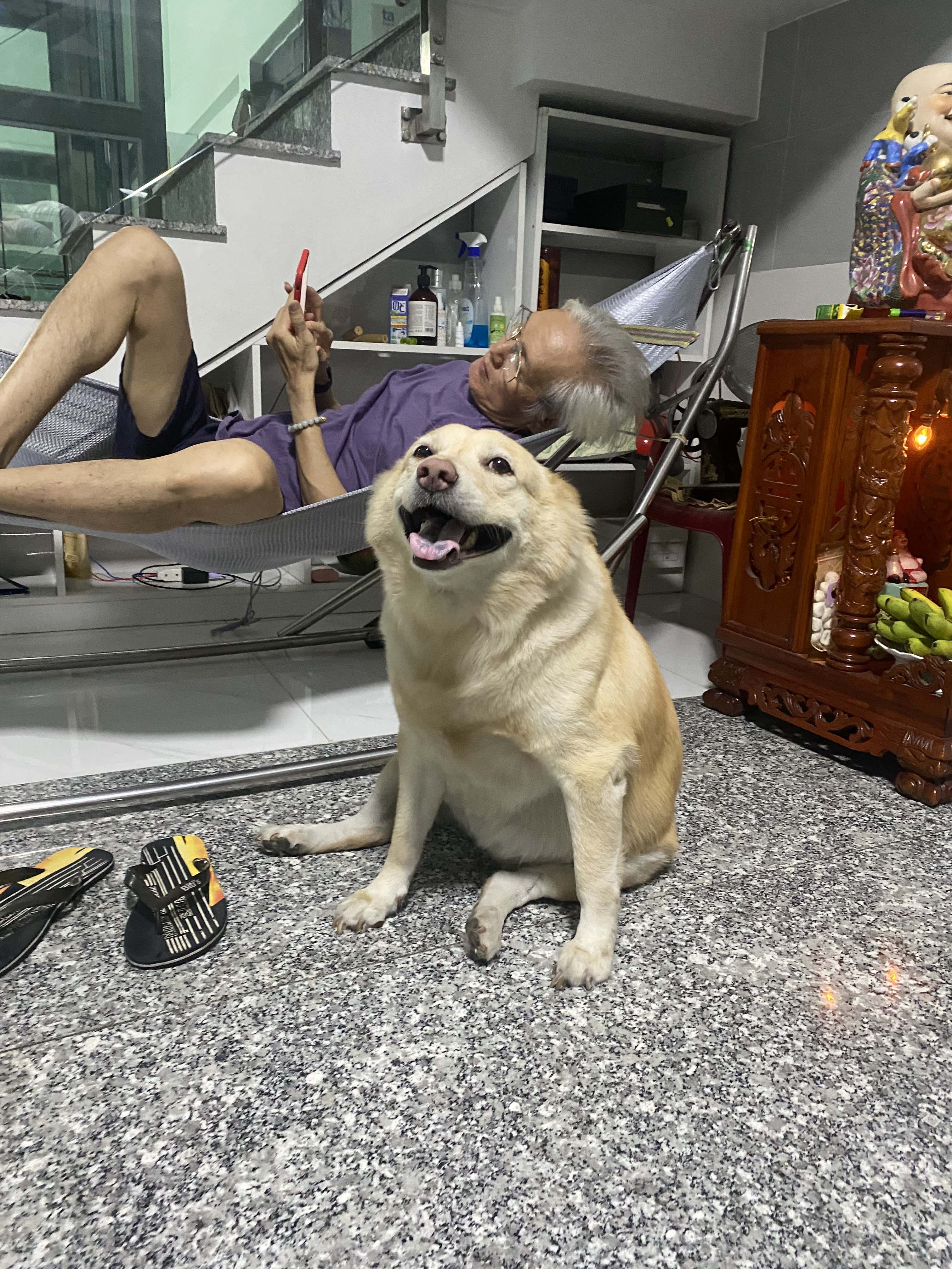 Nằm kế cha nè